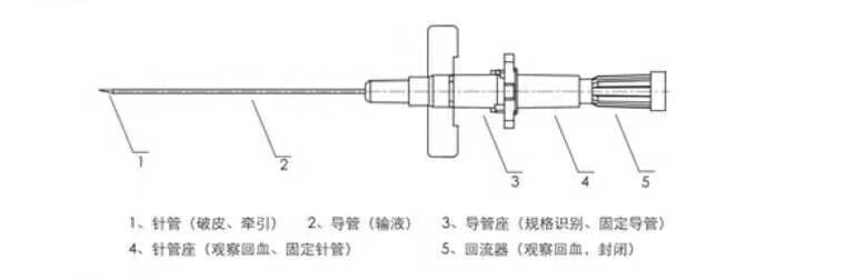 留置针结构组成.png